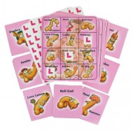 Hen Party Willy Bingo Game
